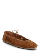 Pointe Ballerinat Brown Steve Madden