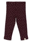 Legging Modal Heart Bottoms Leggings Burgundy Petit Piao
