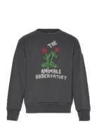 Flowers Dark Frey Bear Sweatshirt Tops Sweat-shirts & Hoodies Sweat-sh...