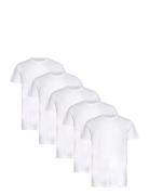 Claudio 5-Pack T-Shirt Cotton Tops T-shirts Short-sleeved White Claudi...