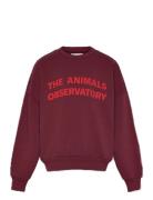 Browned Farnet Leo Sweatshirt Tops Sweat-shirts & Hoodies Sweat-shirts...