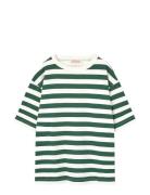 Stripes Freen Collie T-Shirt Tops T-shirts Short-sleeved Green THE ANI...