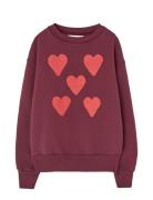 Hearts Browned Farnet Bear Sweatshirt Tops Sweat-shirts & Hoodies Swea...