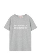Frey Orion T-Shirt Tops T-shirts Short-sleeved Grey THE ANIMALS OBSERV...