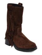 Benedict-F Shoes Boots Ankle Boots Ankle Boots With Heel Brown Steve M...