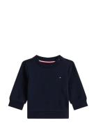 Essential Sweatshirt Tops Sweat-shirts & Hoodies Sweat-shirts Navy Tom...
