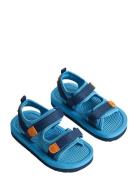 Zola Shoes Summer Shoes Sandals Navy Molo