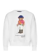 Polo Bear Fleece Boxy Sweatshirt Tops Sweat-shirts & Hoodies Sweat-shi...