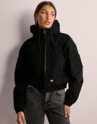 Dickies - Musta - Corduroy Hooded Jacket W