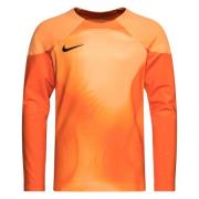 Nike Maalivahdin paita Dri-FIT ADV Gardien IV L/S - Oranssi/Oranssi/Mu...