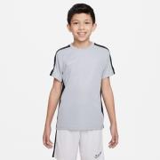 Nike Treenipaita Dri-FIT Academy 23 - Harmaa/Musta/Valkoinen Lapset