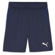 PUMA Treenishortsit teamGOAL - PUMA Navy/Valkoinen/Persian Blue