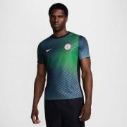 Nigeria Treenipaita Dri-FIT Academy Pro Pre Match - Harmaa/Vihreä/Must...