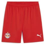 Puma FC Red Bull Salzburg 24/25 Shorts Men